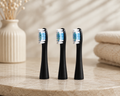 ÁRIA Replacement Brush Heads | Black (3 Pack)